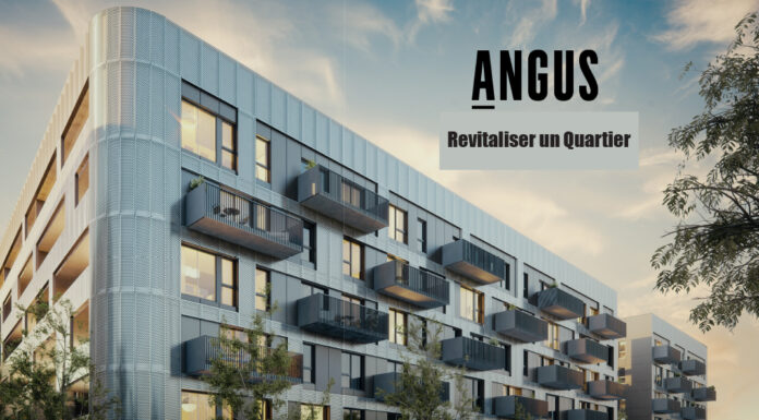 Angus Developments